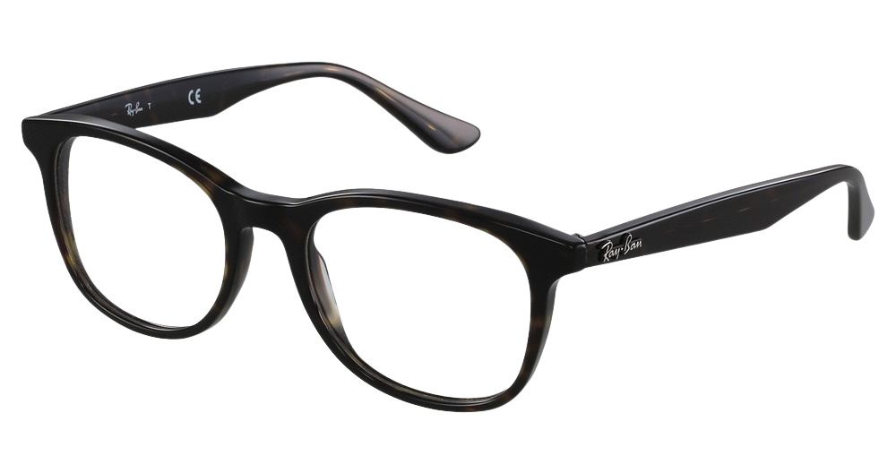 Ray-Ban RX5356 round eyeglasses in Havana