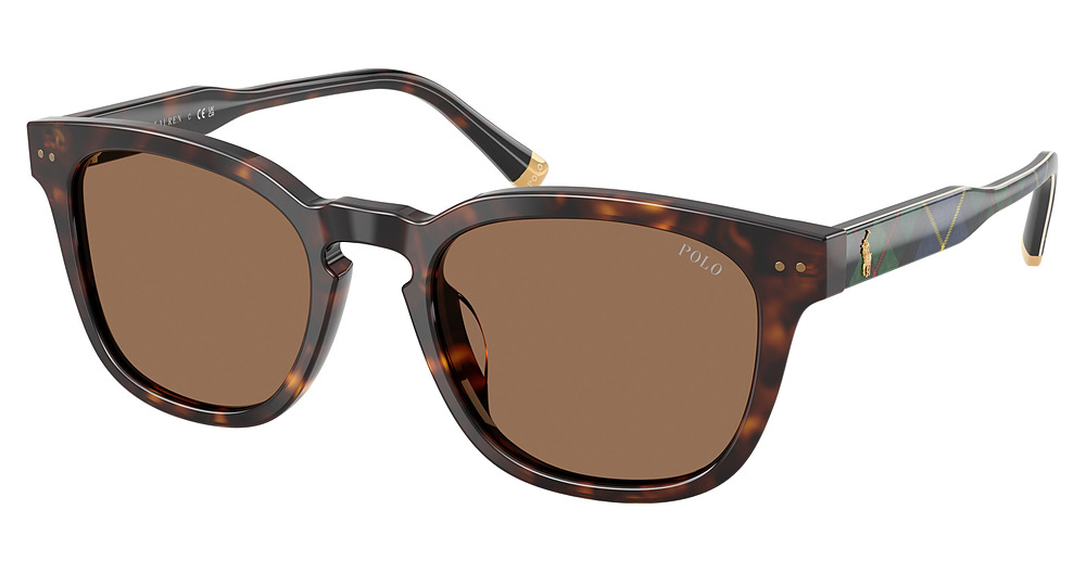 SHINY HAVANA / DARK BROWN