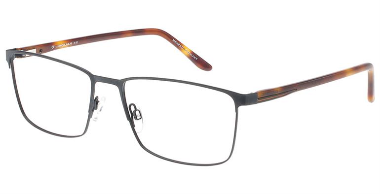 3100 Blue-Tortoise