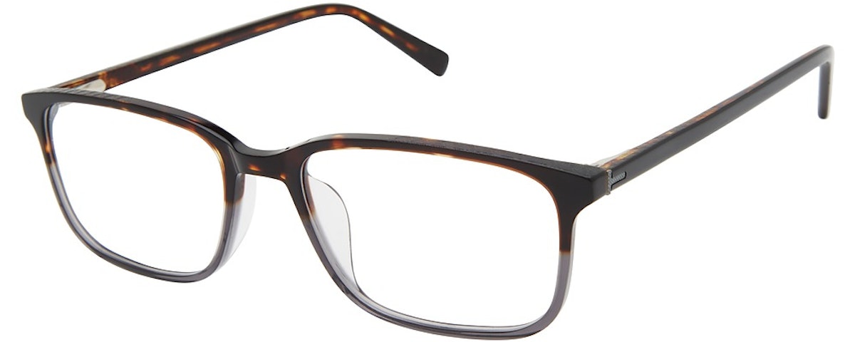 tortoise grey