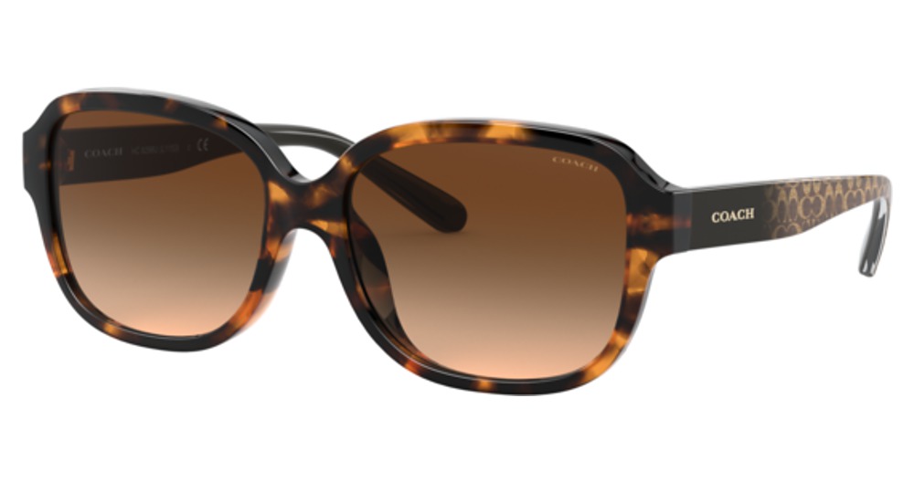 DARK TORTOISE / DARK BROWN GRADIENT