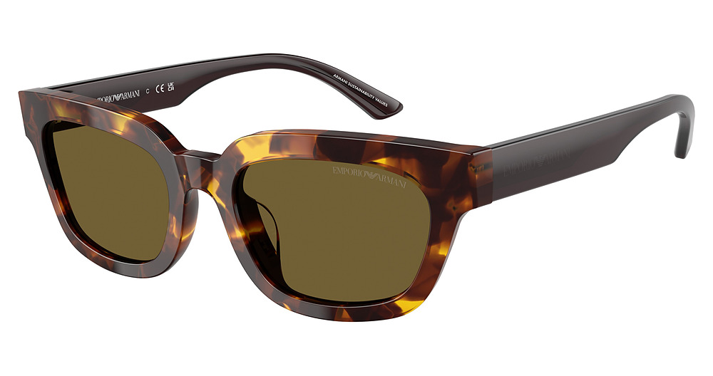 HAVANA YELLOW / DARK BROWN