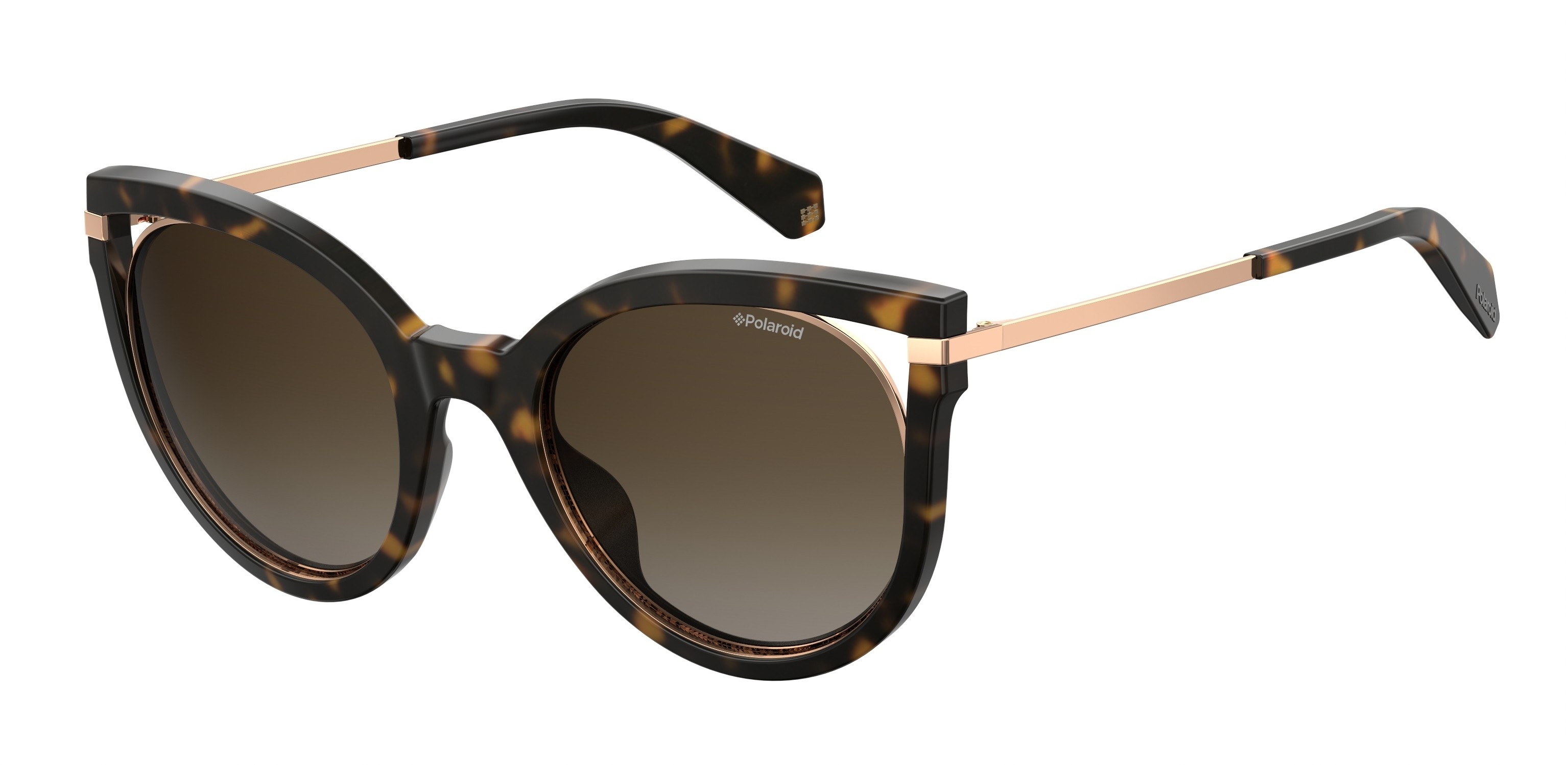 Dark Havana (LA Brown Gradient Polz)