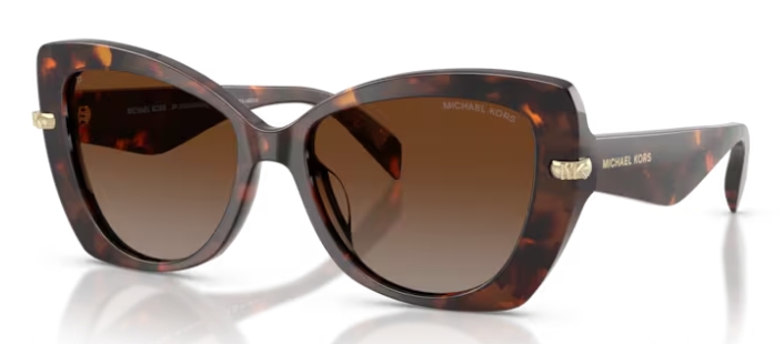 LUGGAGE TORTOISE / BROWN GRADIENT POLAR