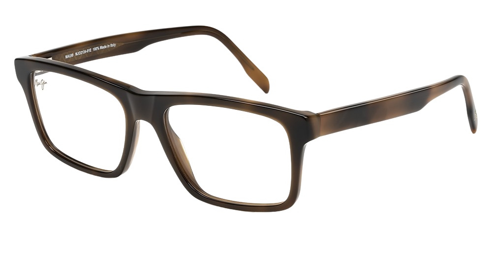 Chocolate Tortoise