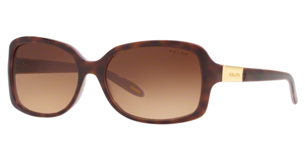 SHINY DARK HAVANA ON VIO / GRADIENT BROWN
