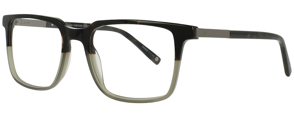 Tortoise Grey