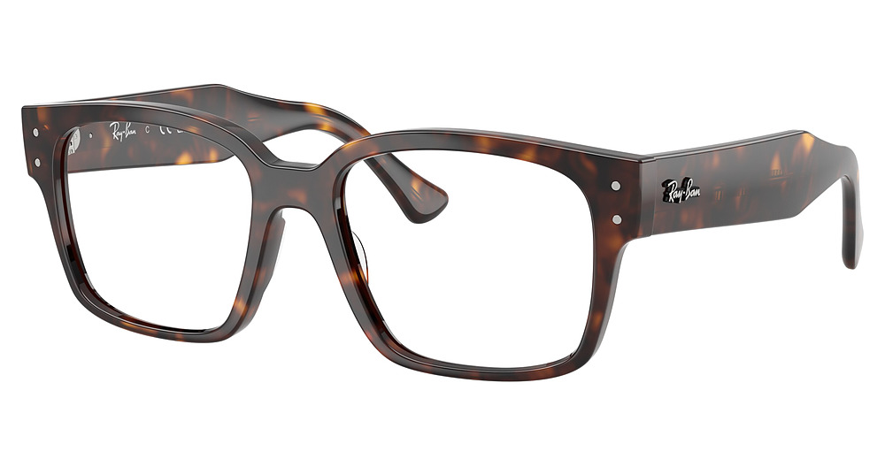 Ray-Ban RX7256F #N/D eyeglasses in Havana