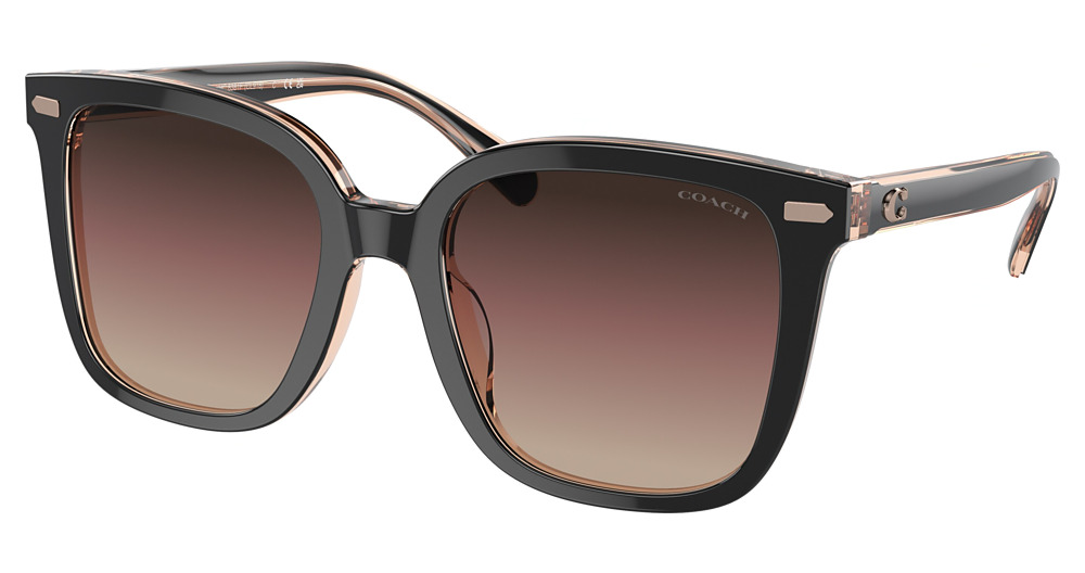 BLACK / TRANSPARENT BLUS / BROWN PURPLE GREY GRADIENT