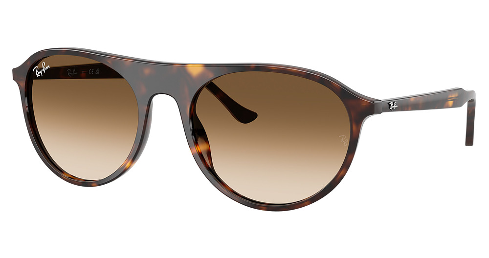 Ray-Ban RB2215 sunglasses in Havana/Clear Gradient Brown