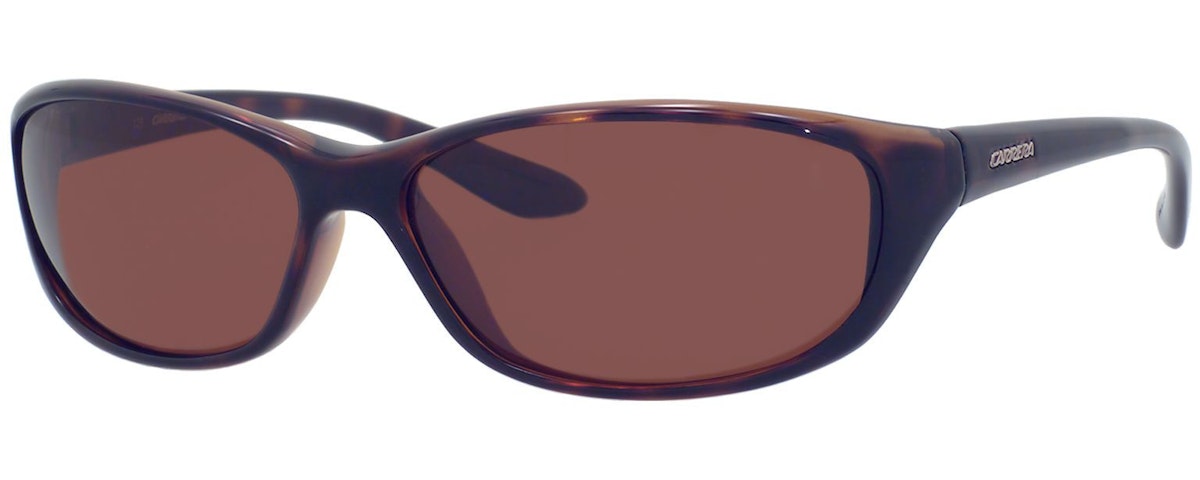 Tortoise (RB Brown Polarized)