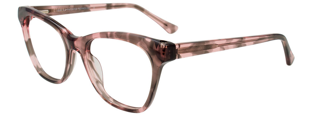 Pink Tortoise