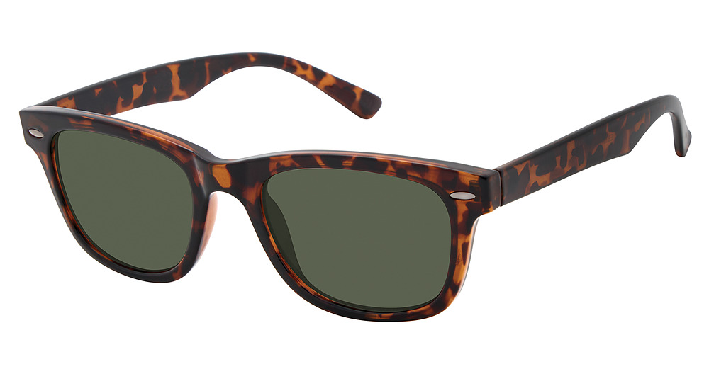 Tortoise / Green Polarized