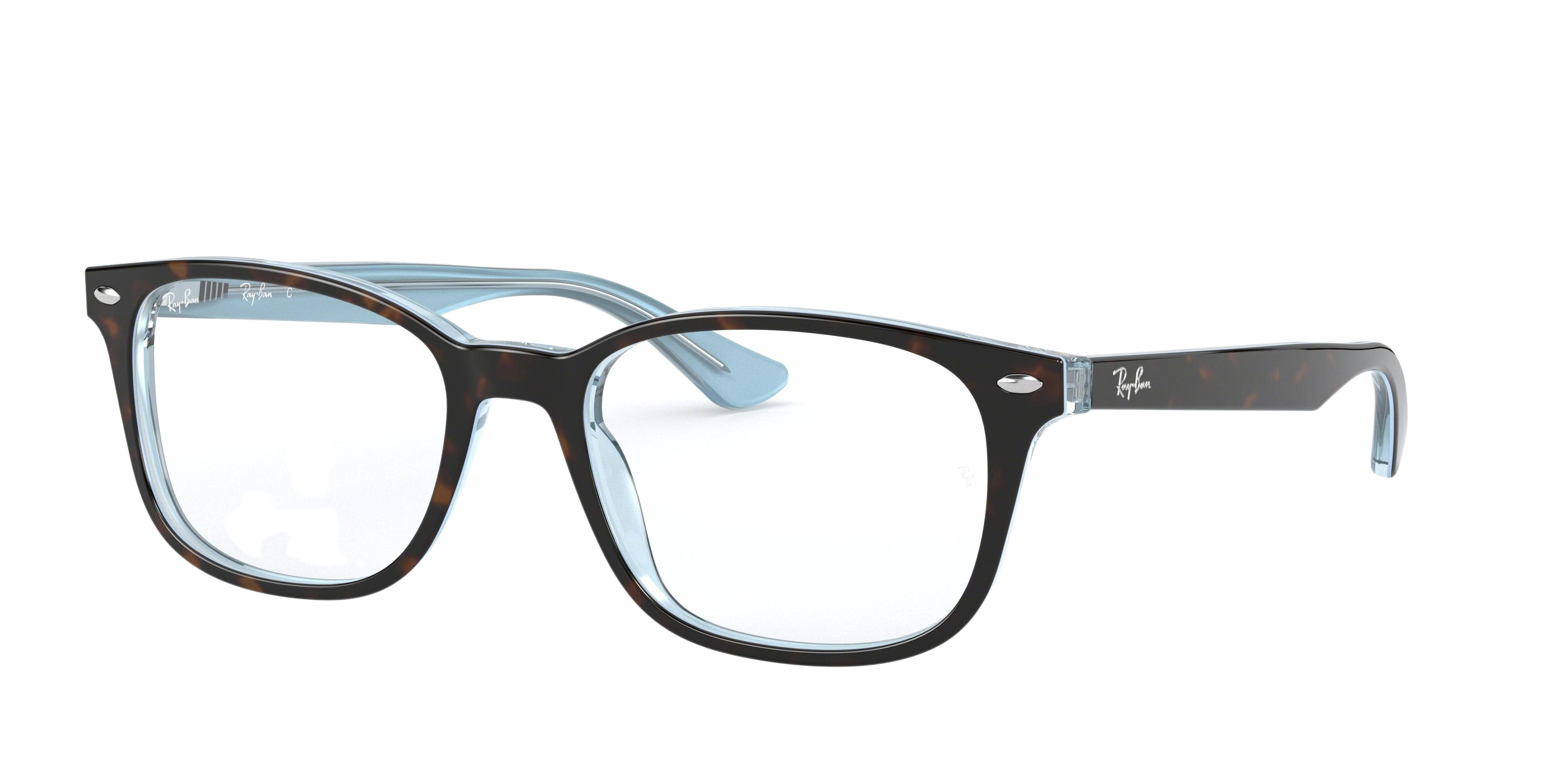 TOP HAVANA ON LIGHT BLUE