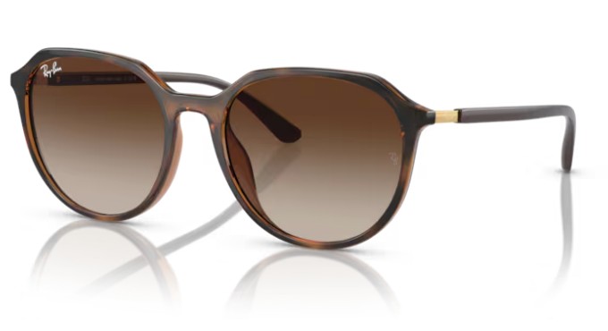 DARK HAVANA / GRADIENT BROWN