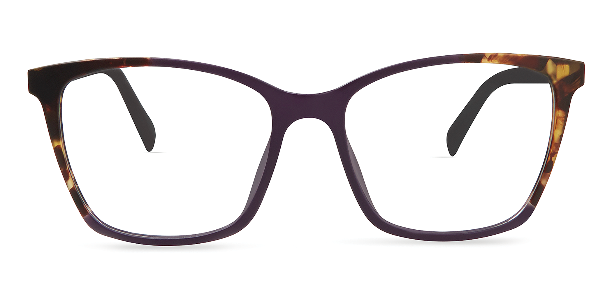 DARK PURPLE / TORTOISE FADE
