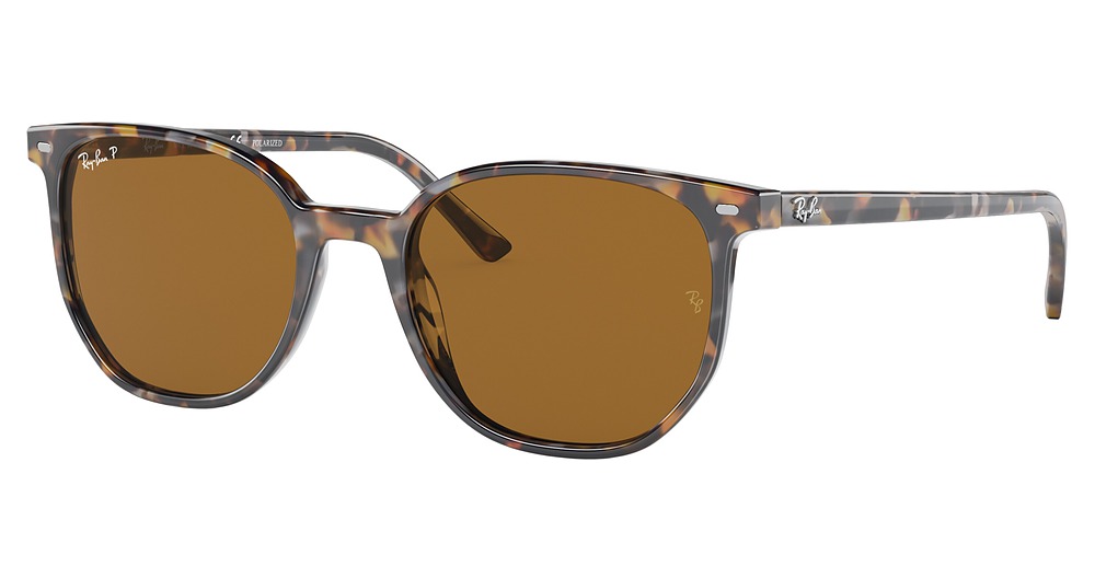 HAVANA BROWN GREY / BROWN POLAR