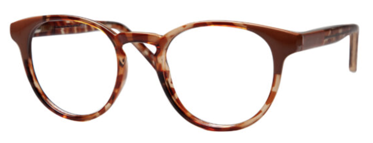 Brown Tortoise