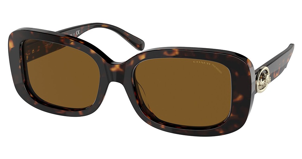 DARK TORTOISE / DARK BROWN SOLID POLAR