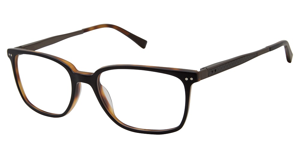 black tortoise