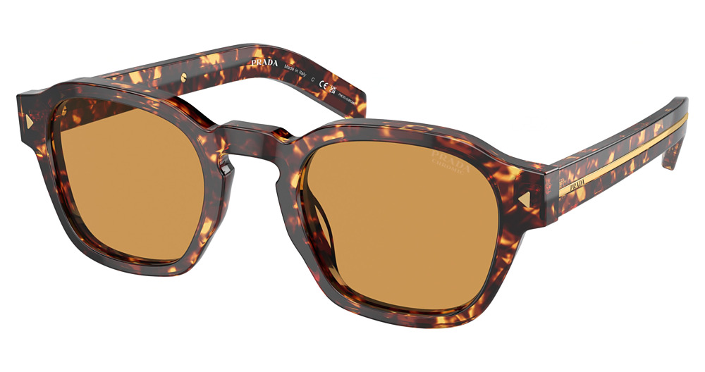 MAGMA TORTOISE / LIGHT BROWN PHOTO