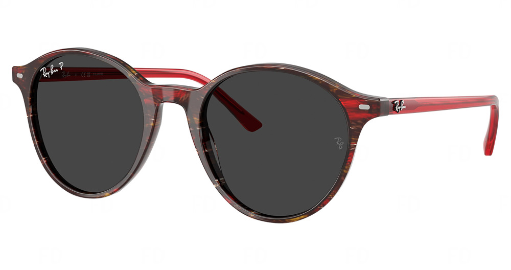 Ray-Ban RB2230 #N/D round sunglasses in Transparent Shade Fantas/Polarized Black