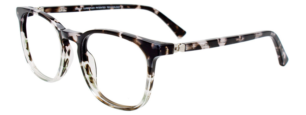 Grey Tortoise