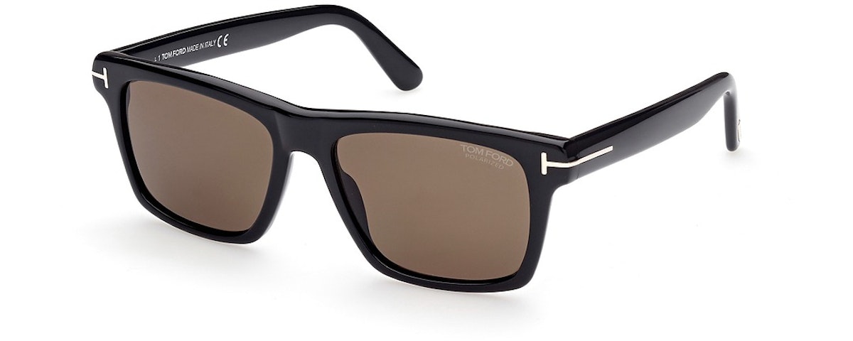 shiny black / brown polarized