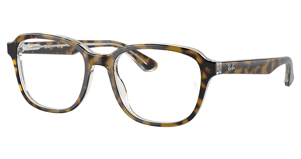 Ray-Ban RY1627 round eyeglasses in Havana on Transparent