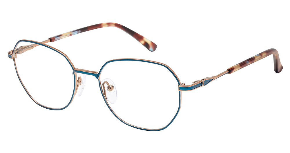 BLUE-TORTOISE