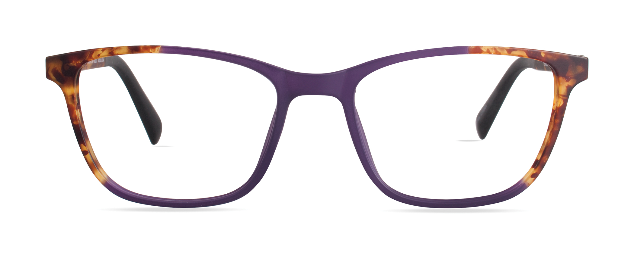 DARK PURPLE / TORTOISE FADE