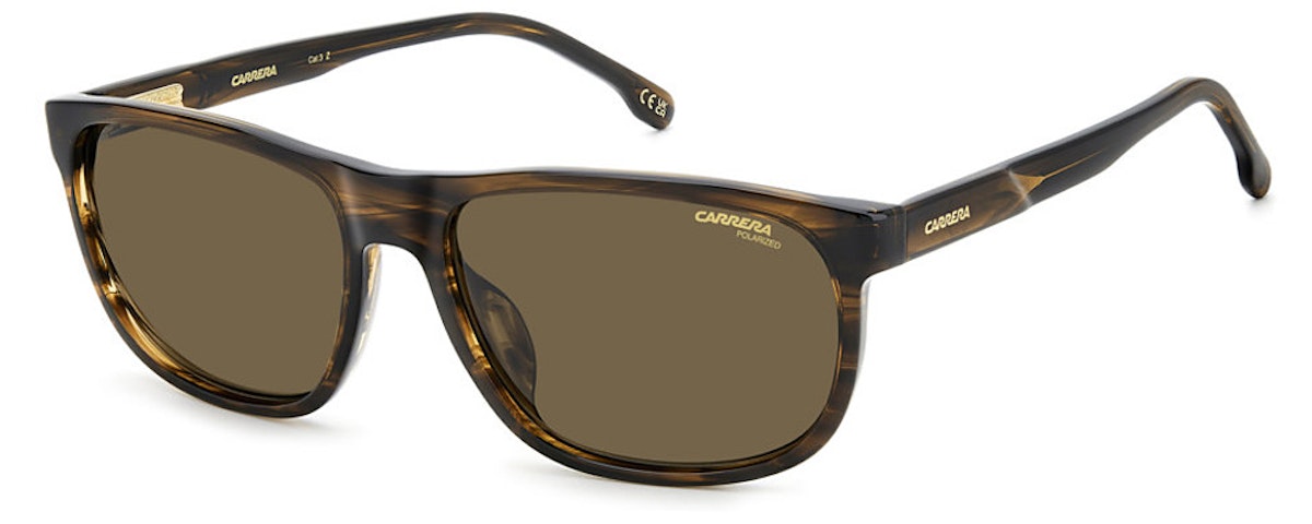 BRW HORN B / BRONZE POLARIZED