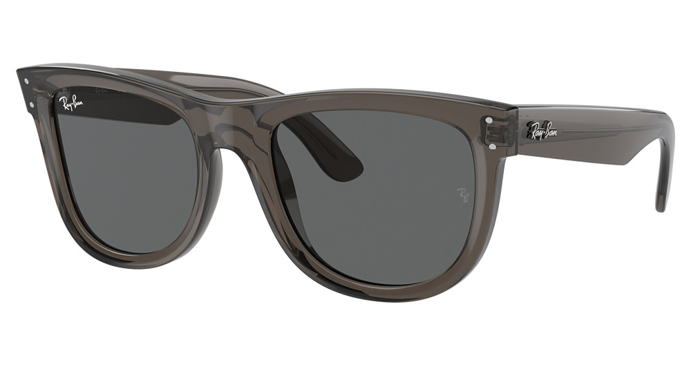 Ray-Ban RBR0502S WAYFARER REVERSE round sunglasses in Transparent Dark Grey/Dark Grey