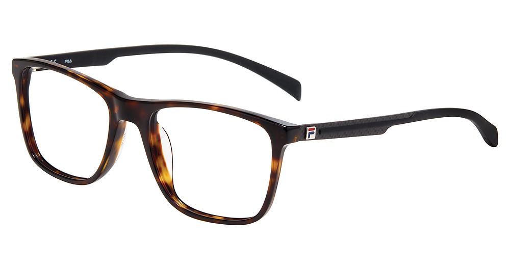 Tortoise 0722