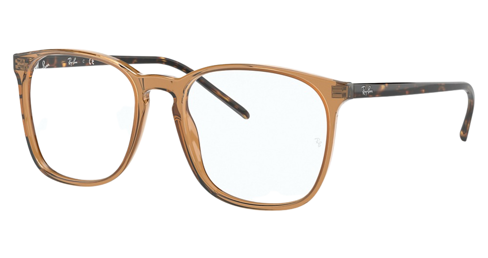 Ray-Ban RX5387 round eyeglasses in Transparent Light Brown