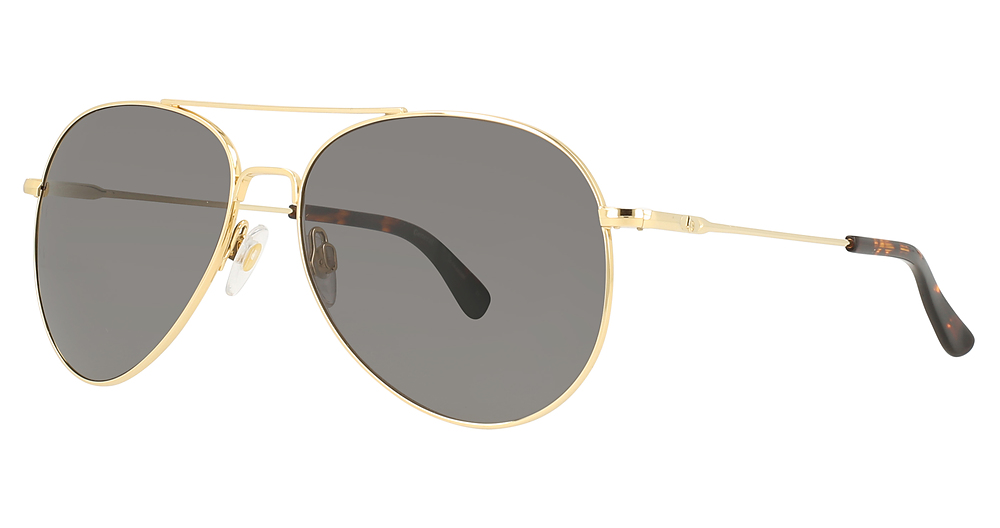 Gold / Frame Only