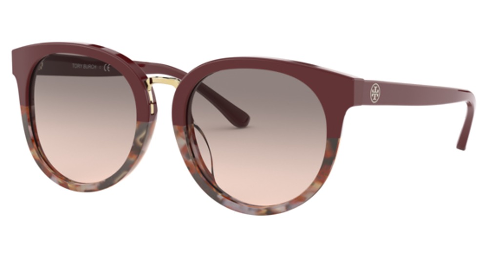 BORDEAUX/PORCINI TORTOIS / PINK GREY GRADIENT