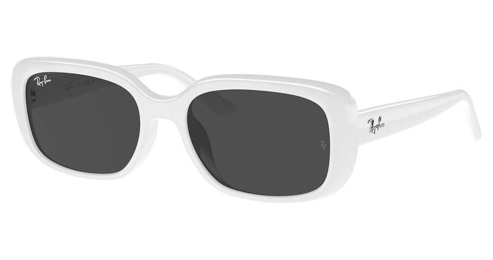 Ray-Ban RB4421D round sunglasses in White/Dark Grey