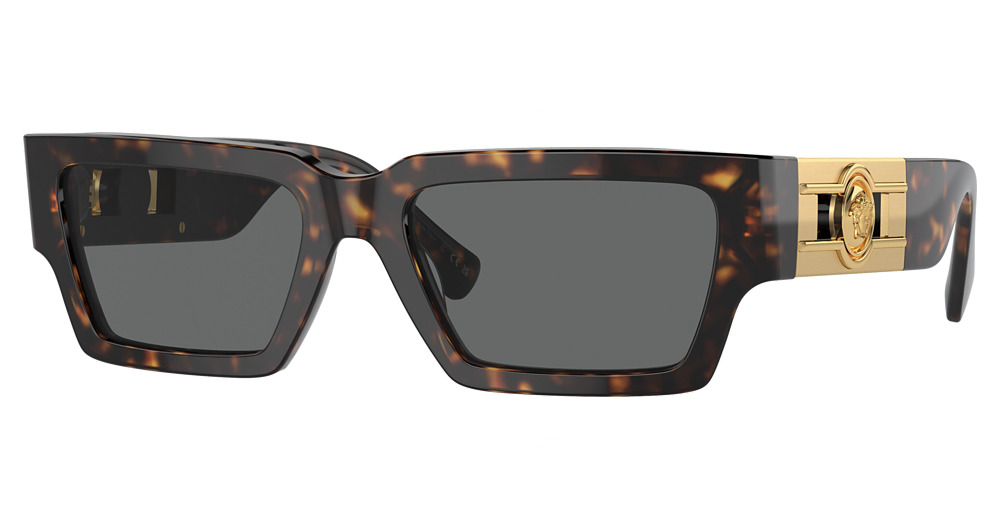 DARK HAVANA / DARK GREY