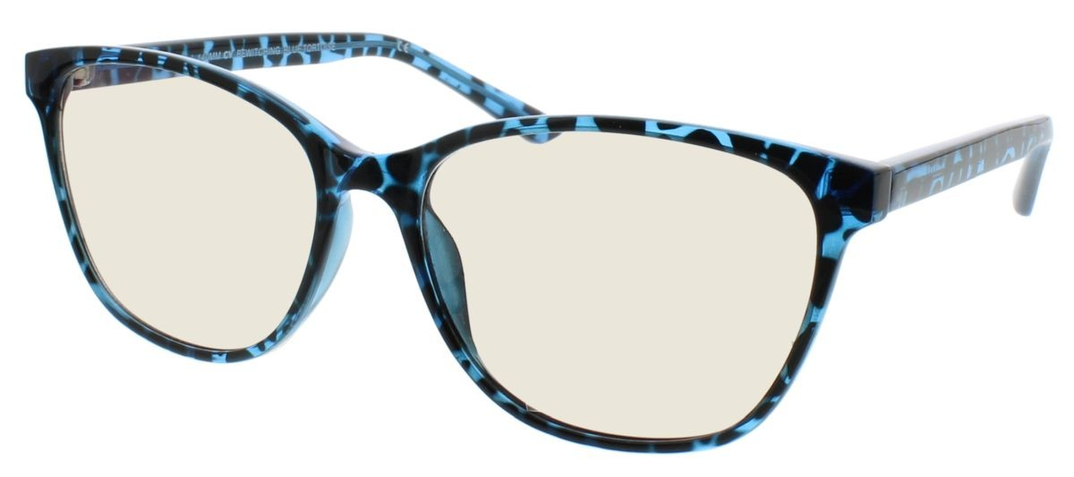 BLUE TORTOISE