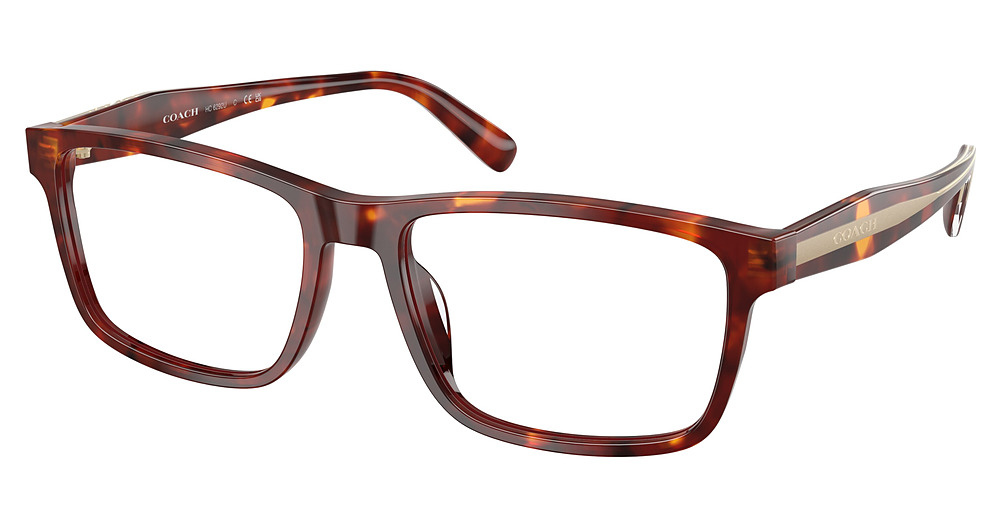 WALNUT TORTOISE