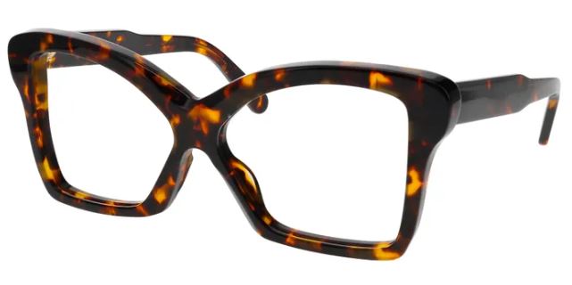 C34G BROWN TORTOISE