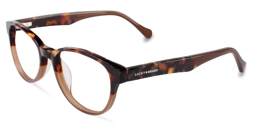 Tortoise Brown