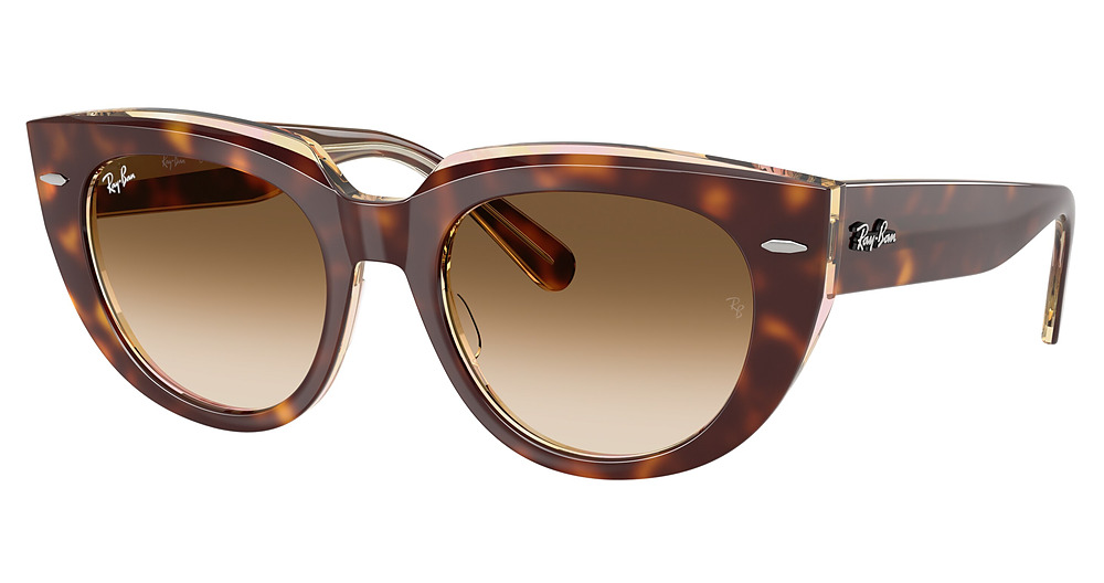 LIGHT HAVANA ON TRANSP. / CLEAR GRADIENT BROWN