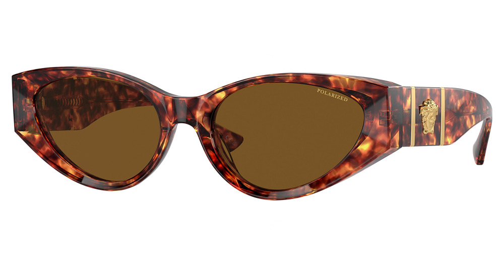 HAVANA / DARK BROWN POLAR