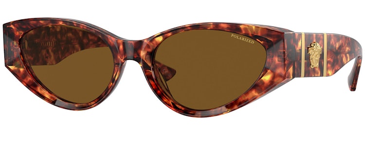 HAVANA / DARK BROWN POLAR