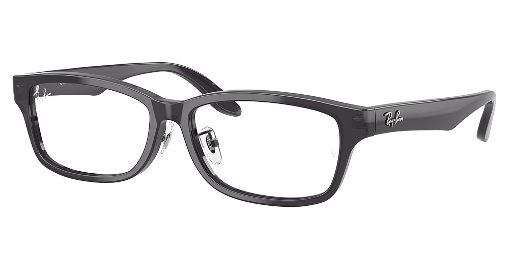 Ray-Ban RX5408D round eyeglasses in Transparent Dark Grey