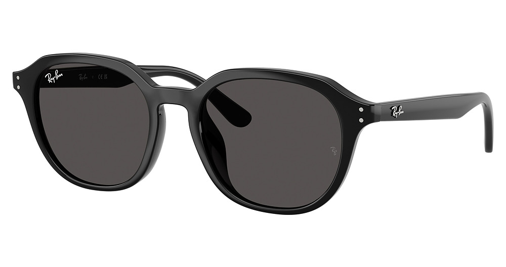 Ray-Ban RB4459D sunglasses in Black/Dark Grey
