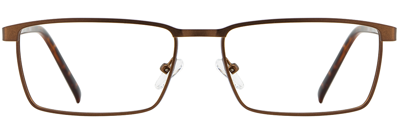 Chocolate / Tortoise