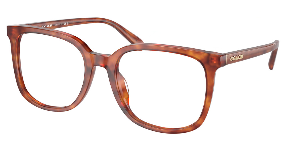 CARAMEL TORTOISE